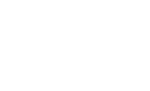 Eager Plumbing, LLC Logo - White